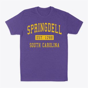 Springdell South Carolina Classic Established Classic Dad T-Shirt