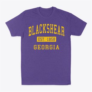 Blackshear Georgia Classic Established Classic Dad T-Shirt