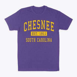 Chesnee South Carolina Classic Established Classic Dad T-Shirt
