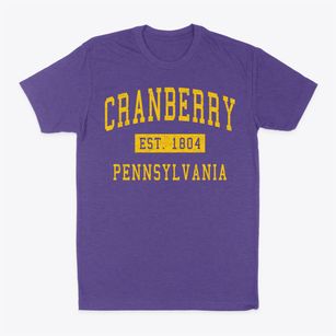 Cranberry Pennsylvania Classic Established Classic Dad T-Shirt