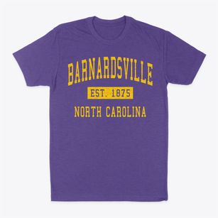 Barnardsville North Carolina Classic Established Classic Dad T-Shirt