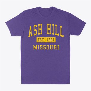 Ash Hill Missouri Classic Established Classic Dad T-Shirt