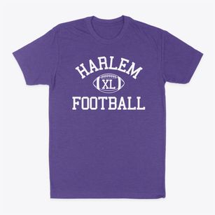 Harlem Junior High School Classic Football Classic Dad T-Shirt