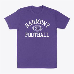 Harmony Area School Classic Football Classic Dad T-Shirt