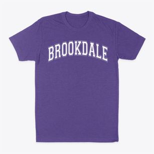 Brookdale Elementary School Varsity Arch Classic Dad T-Shirt