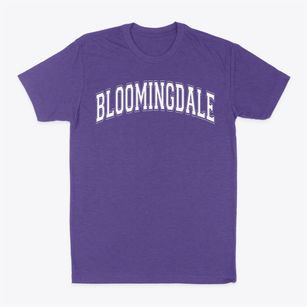Bloomingdale High School Varsity Arch Classic Dad T-Shirt