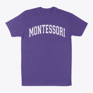 Montessori School Of Waukesha Varsity Arch Classic Dad T-Shirt