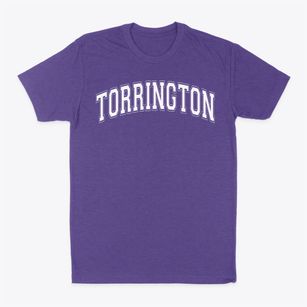 Torrington Middle School Varsity Arch Classic Dad T-Shirt