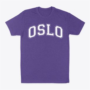 Oslo Middle School Varsity Arch Classic Dad T-Shirt