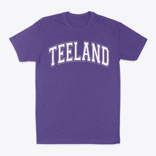 Teeland Middle School Varsity Arch Classic Dad T-Shirt