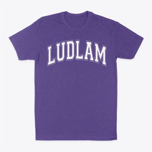 Ludlam Elementary School Varsity Arch Classic Dad T-Shirt