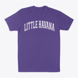 Little Havana Institute Varsity Arch Classic Dad T-Shirt