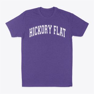 Hickory Flat Elementary School Varsity Arch Classic Dad T-Shirt