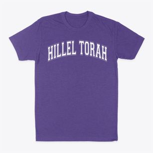 Hillel Torah North Suburban Day School Varsity Arch Classic Dad T-Shirt
