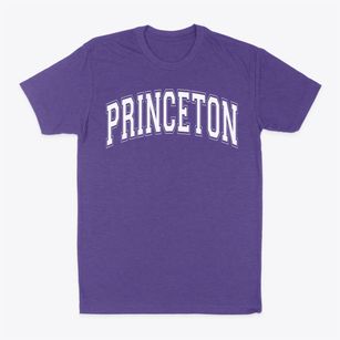 Princeton Community High School Varsity Arch Classic Dad T-Shirt