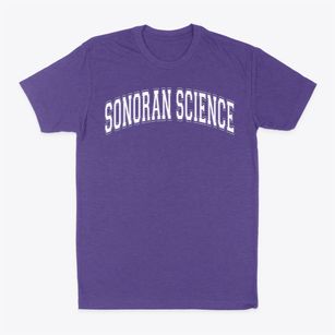 Sonoran Science Academy Varsity Arch Classic Dad T-Shirt