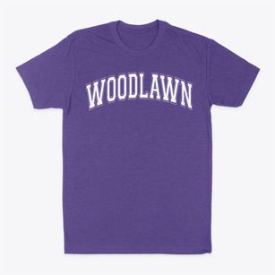 Woodlawn Elementary School Varsity Arch Classic Dad T-Shirt