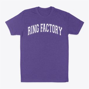Ring Factory Elementary School Varsity Arch Classic Dad T-Shirt