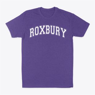 Roxbury Prep Charter Varsity Arch Classic Dad T-Shirt