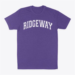 Ridgeway Community School Varsity Arch Classic Dad T-Shirt