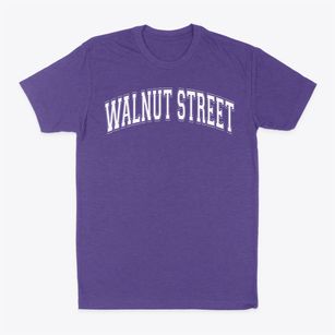 Walnut Street School Varsity Arch Classic Dad T-Shirt