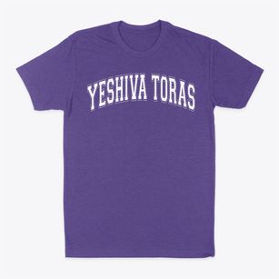 Yeshiva Toras Emes Kamenitz Varsity Arch Classic Dad T-Shirt