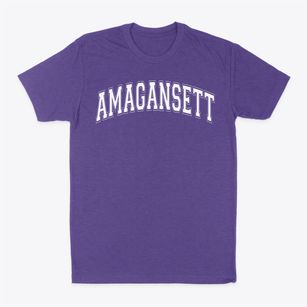 Amagansett School Varsity Arch Classic Dad T-Shirt