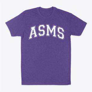 Alabama School Of Mathematics & Science Varsity Arch Classic Dad T-Shirt