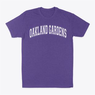 Ps 203 Oakland Gardens Varsity Arch Classic Dad T-Shirt