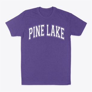Pine Lake Preparatory Varsity Arch Classic Dad T-Shirt