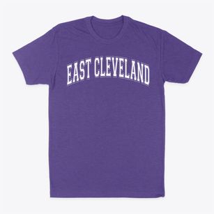 East Cleveland Developmental Center Varsity Arch Classic Dad T-Shirt