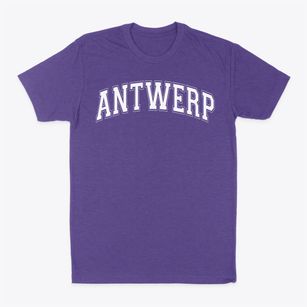 Antwerp High School Varsity Arch Classic Dad T-Shirt