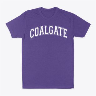 Coalgate High School Varsity Arch Classic Dad T-Shirt