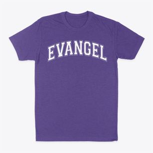 Evangel Christian Varsity Arch Classic Dad T-Shirt