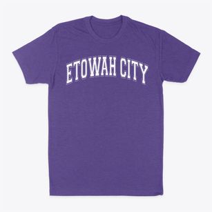 Etowah City Elementary School Varsity Arch Classic Dad T-Shirt