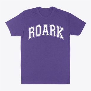 Roark Elementary School Varsity Arch Classic Dad T-Shirt