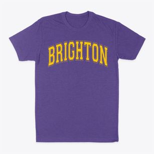 Brighton Elementary School Varsity Arch Classic Dad T-Shirt