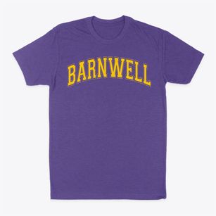 Barnwell Elementary School Varsity Arch Classic Dad T-Shirt