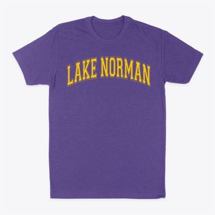 Lake Norman Day School Varsity Arch Classic Dad T-Shirt