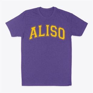Aliso Elementary School Varsity Arch Classic Dad T-Shirt