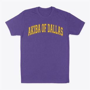 Akiba Academy Of Dallas Varsity Arch Classic Dad T-Shirt