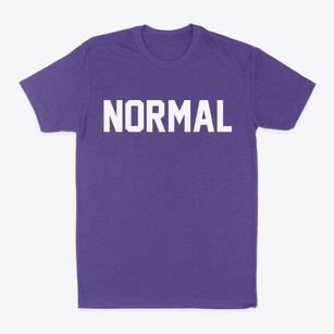 Normal Illinois Classic Block Classic Dad T-Shirt