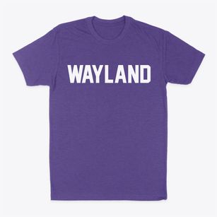 Wayland Michigan Classic Block Classic Dad T-Shirt