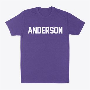 Anderson Missouri Classic Block Classic Dad T-Shirt