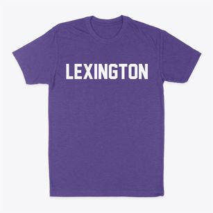 Lexington Massachusetts Classic Block Classic Dad T-Shirt