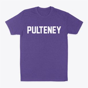 Pulteney New York Classic Block Classic Dad T-Shirt