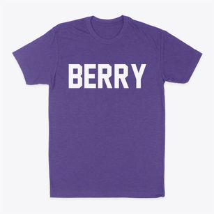 Berry Wisconsin Classic Block Classic Dad T-Shirt