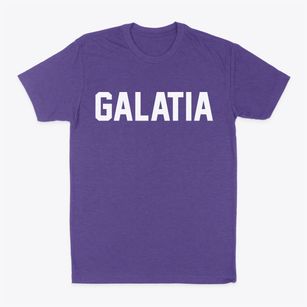 Galatia Illinois Classic Block Classic Dad T-Shirt