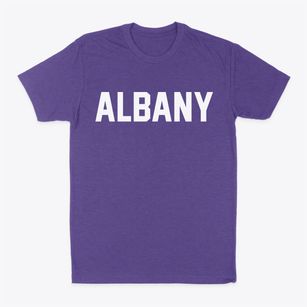 Albany Vermont Classic Block Classic Dad T-Shirt