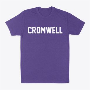 Cromwell Indiana Classic Block Classic Dad T-Shirt